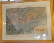 ine/mapa-v-rame-1