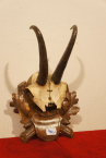 ine/trofej-rohy-1