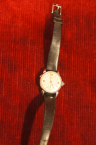 metal/DSC55190