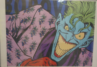 obrazy/juniperus-joker-1