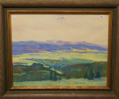 obrazy/krajinka-luky-2