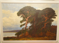 obrazy/pobrezie-stromy-1