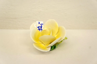 porcelan/DSC56567