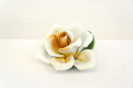 porcelan/DSC56569