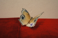 porcelan/motyl-5