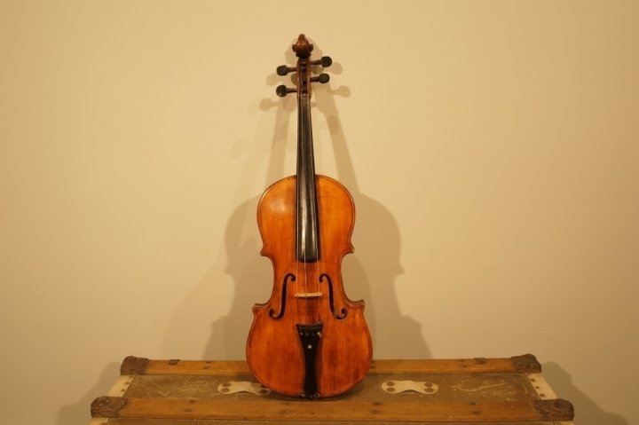 viola