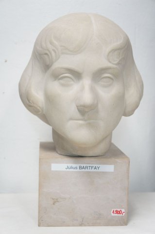 busta žena