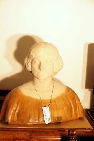 busta žena