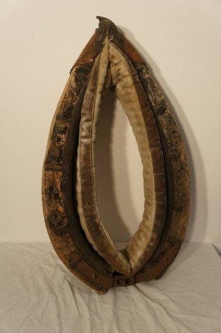 chomút