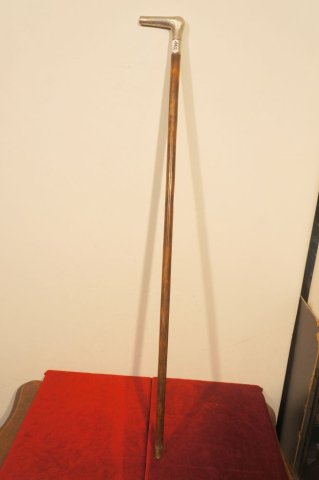 palička hákovnička