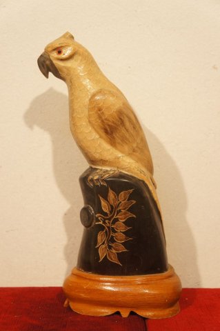 papagáj