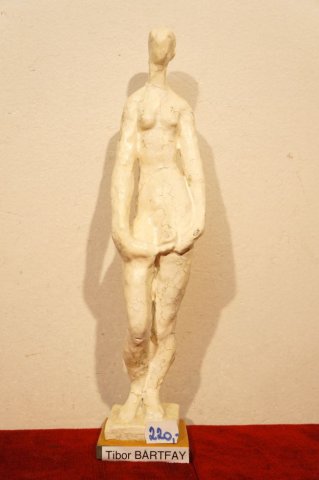 žena akt