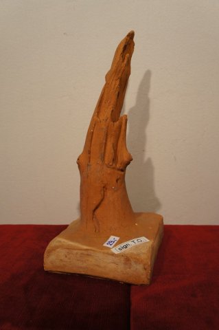 zlomený konár