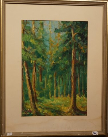 borovicový les