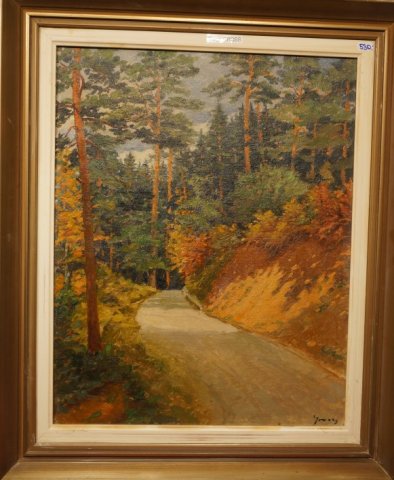 lesná cesta
