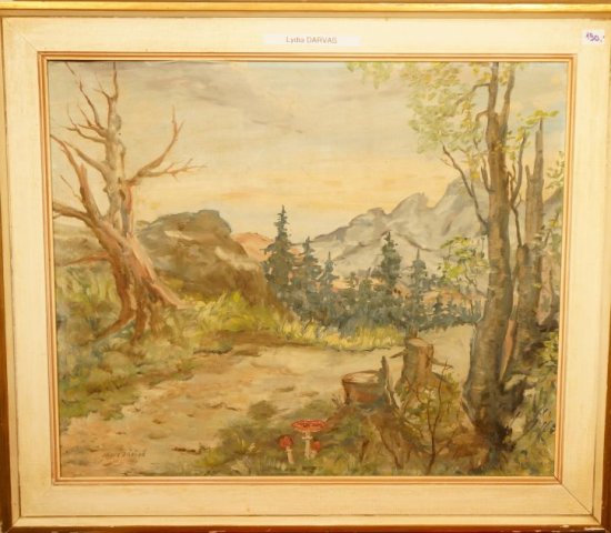 lesná cesta