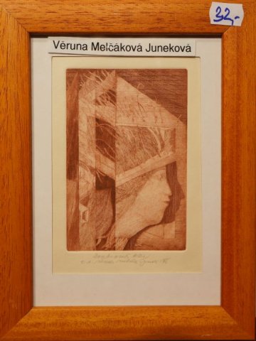 „soukromá klec“