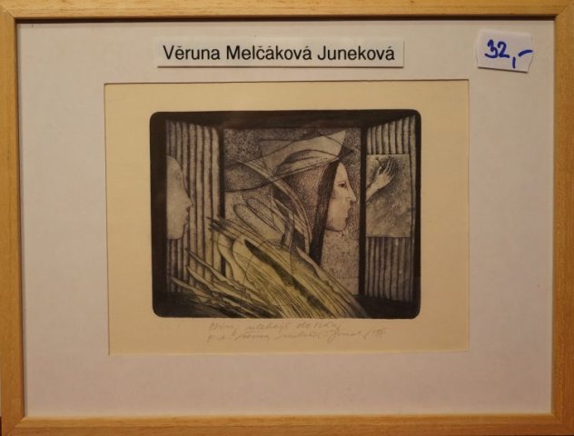 „stíny“