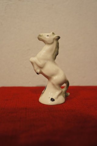 kôň