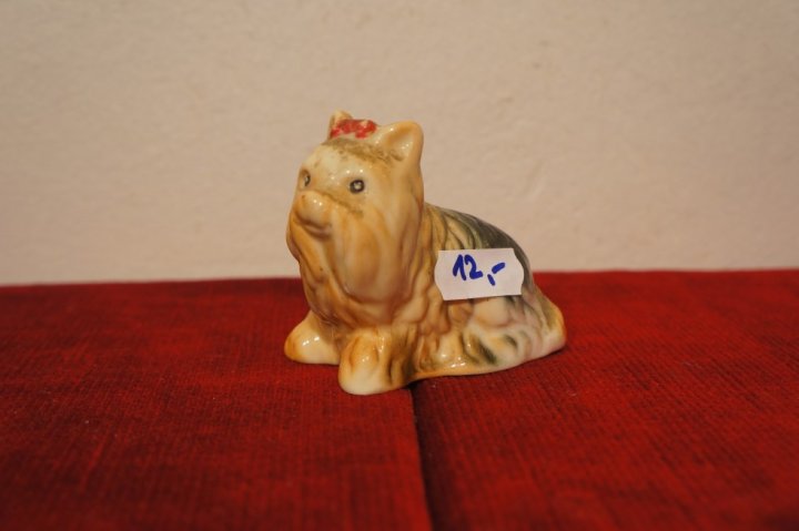 psík
