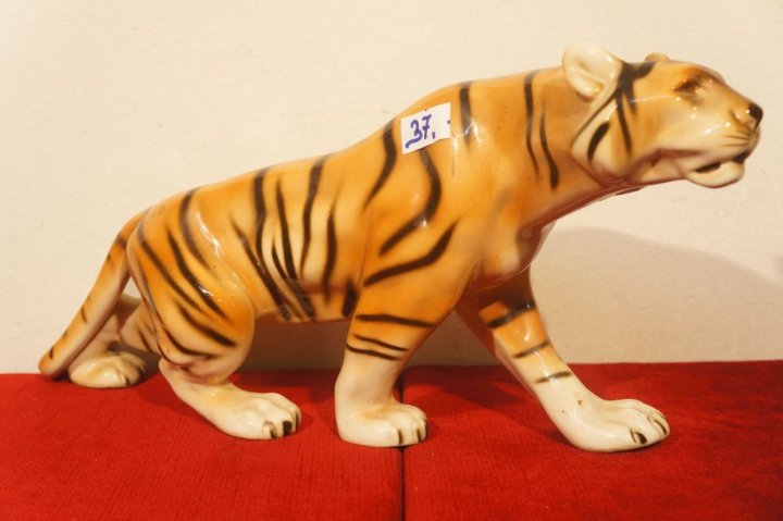 tiger